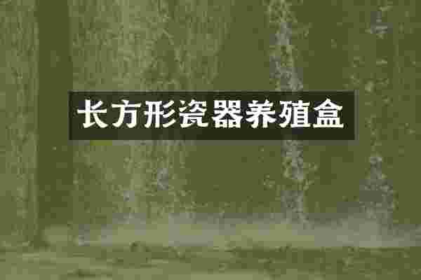 长方形瓷器养殖盒