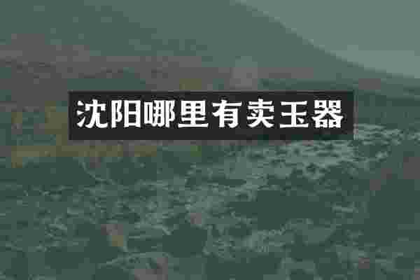 沈阳哪里有卖玉器