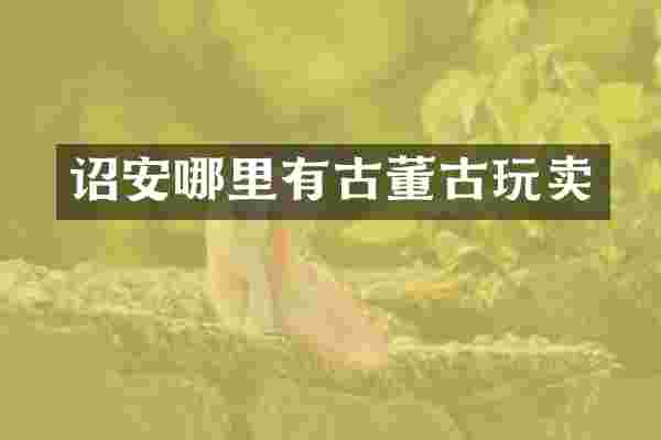 诏安哪里有古董古玩卖