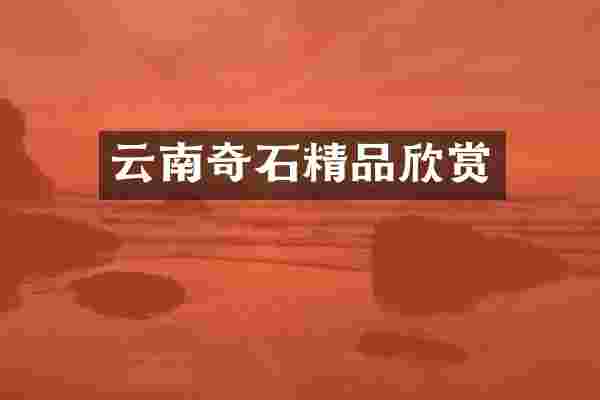 云南奇石精品欣赏