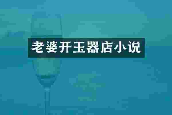 老婆开玉器店小说