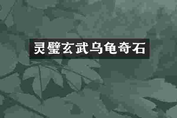 灵璧玄武乌龟奇石