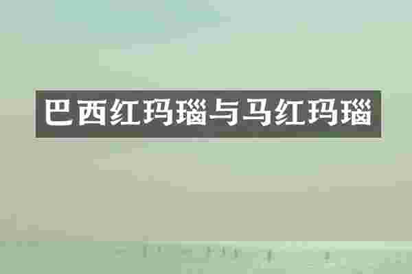 巴西红玛瑙与马红玛瑙