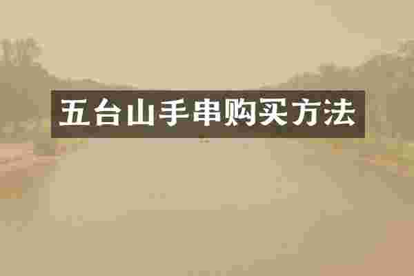 五台山手串购买方法