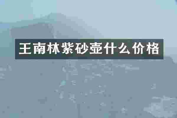 王南林紫砂壶什么价格