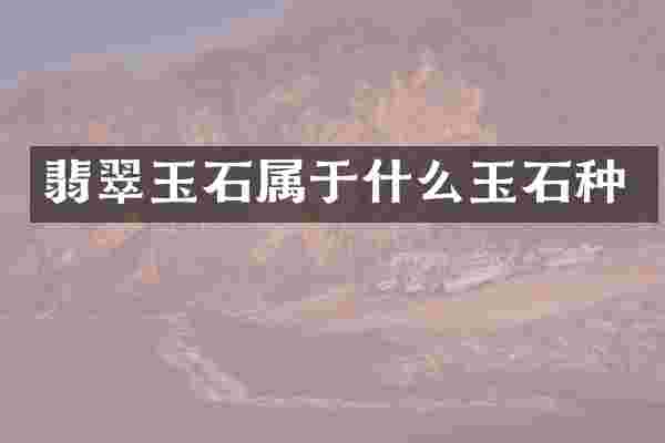 翡翠玉石属于什么玉石种