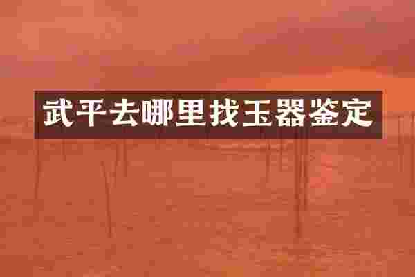 武平去哪里找玉器鉴定