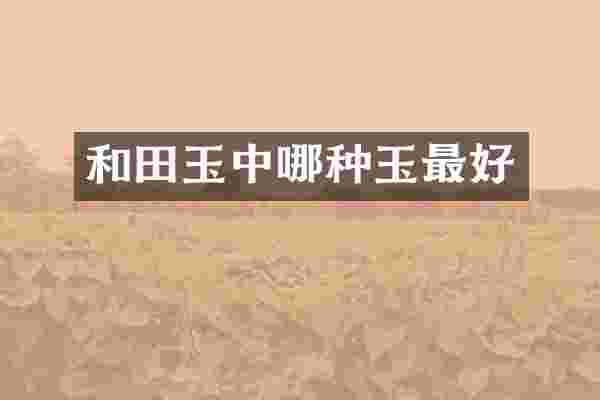 和田玉中哪种玉最好