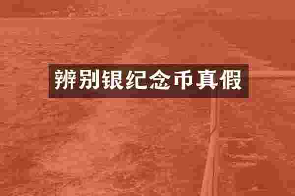 辨别银纪念币真假