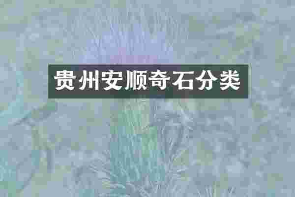 贵州安顺奇石分类