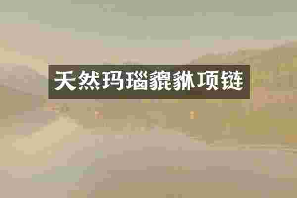 天然玛瑙貔貅项链