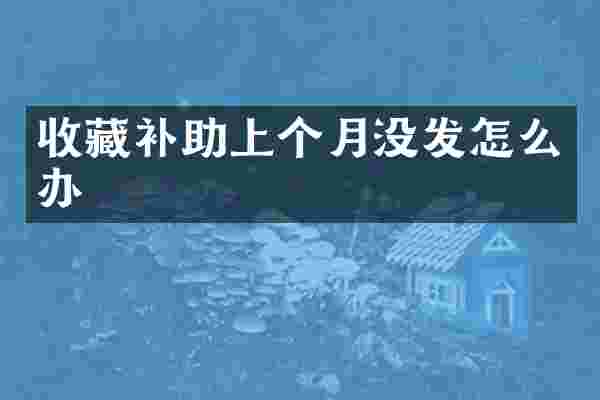 收藏补助上个月没发怎么办