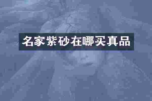 名家紫砂在哪买真品