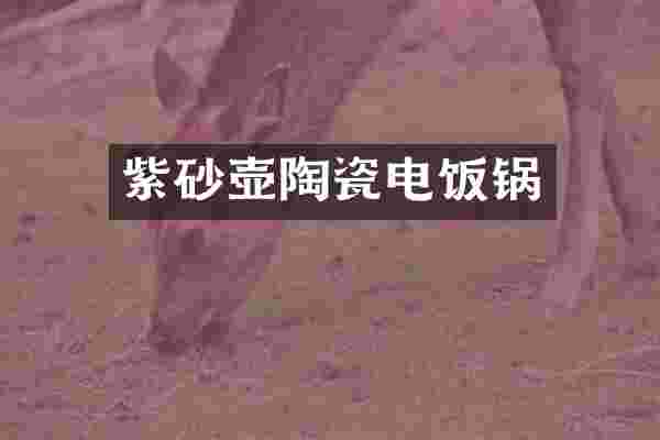 紫砂壶陶瓷电饭锅