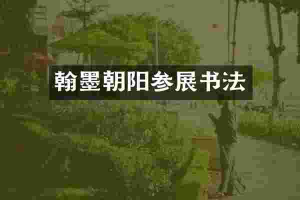 翰墨朝阳参展书法