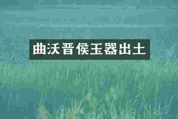 曲沃晋侯玉器出土