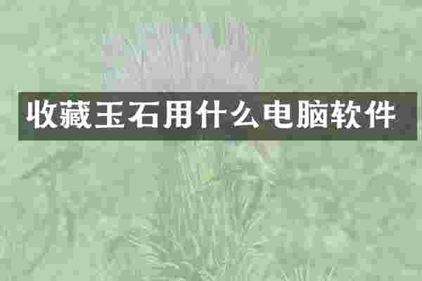 收藏玉石用什么电脑软件