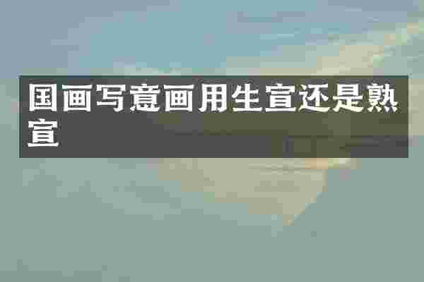 国画写意画用生宣还是熟宣