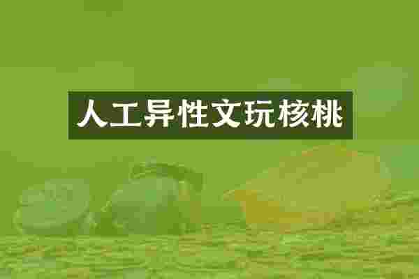 人工异性文玩核桃