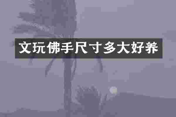 文玩佛手尺寸多大好养