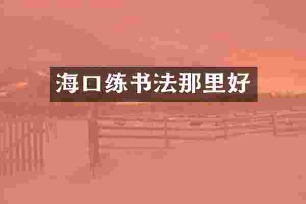 海口练书法那里好