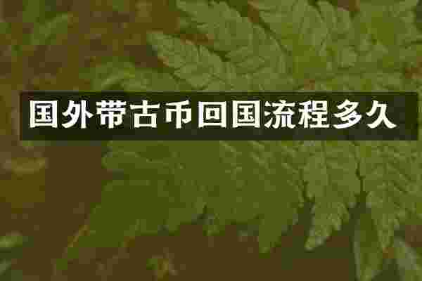 国外带古币回国流程多久