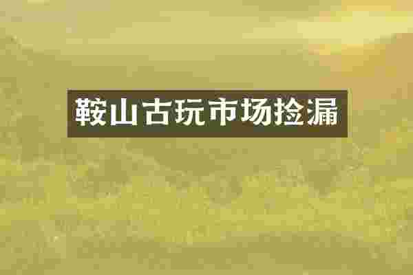 鞍山古玩市场捡漏