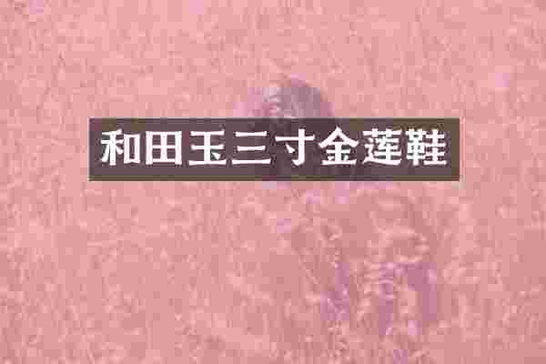 和田玉三寸金莲鞋
