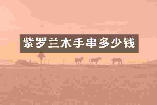 紫罗兰木手串多少钱