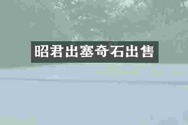 昭君出塞奇石出售