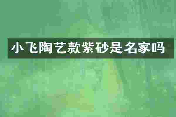 小飞陶艺款紫砂是名家吗