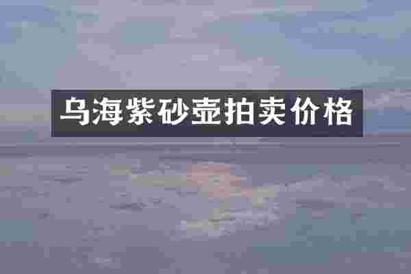 乌海紫砂壶拍卖价格
