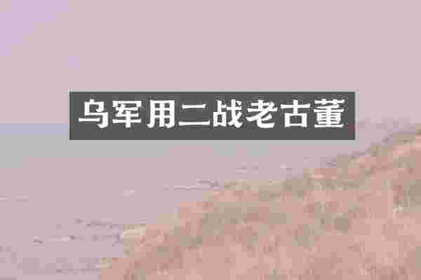 乌军用二战老古董