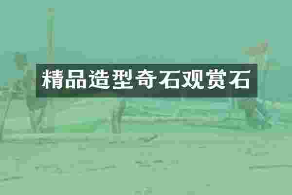 精品造型奇石观赏石