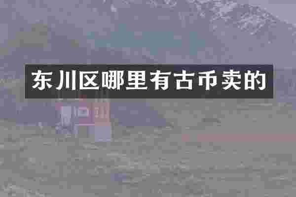 东川区哪里有古币卖的