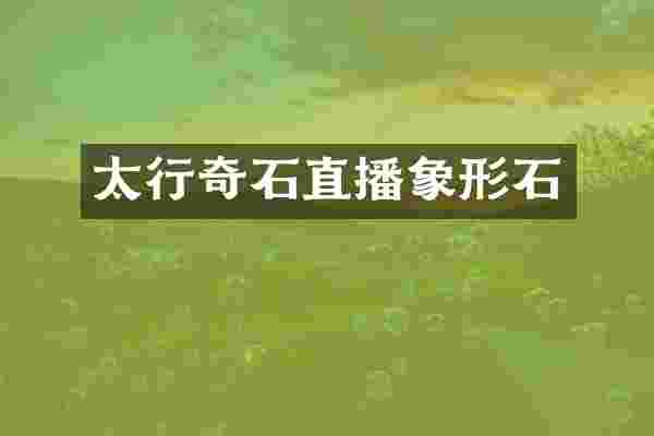 太行奇石直播象形石