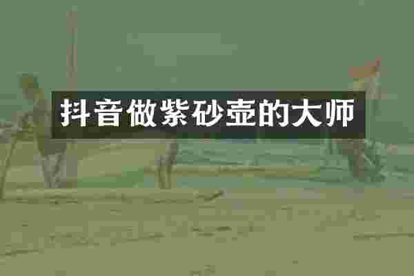 抖音做紫砂壶的大师