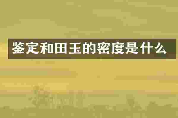 鉴定和田玉的密度是什么