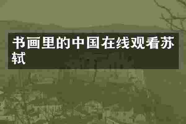 书画里的中国在线观看苏轼