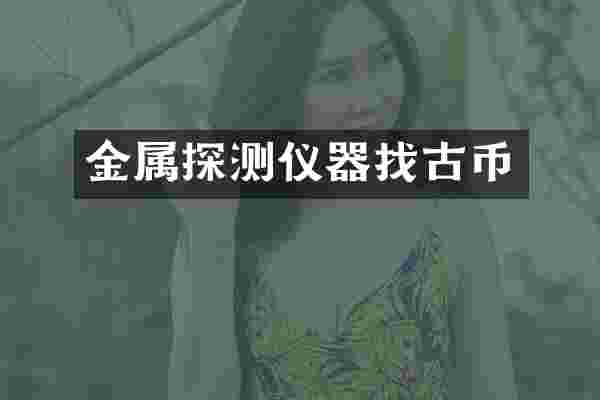 金属探测仪器找古币