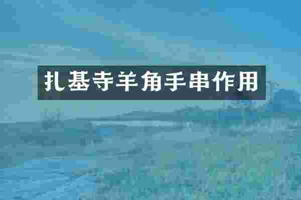 扎基寺羊角手串作用