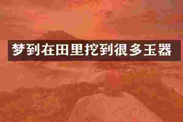 梦到在田里挖到很多玉器