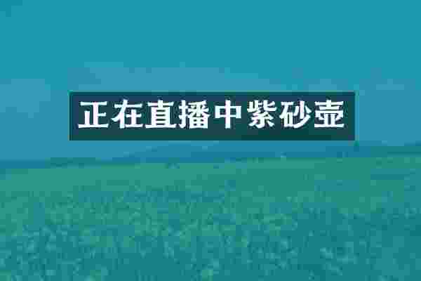 正在直播中紫砂壶