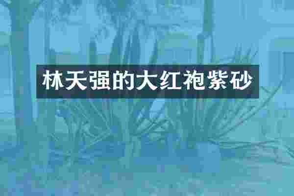 林天强的大红袍紫砂