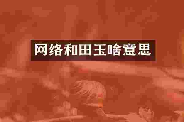 网络和田玉啥意思