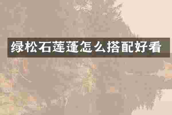 绿松石莲蓬怎么搭配好看