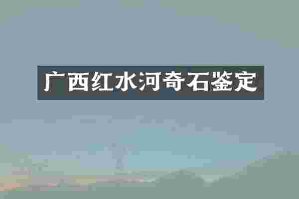 广西红水河奇石鉴定