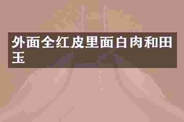 外面全红皮里面白肉和田玉