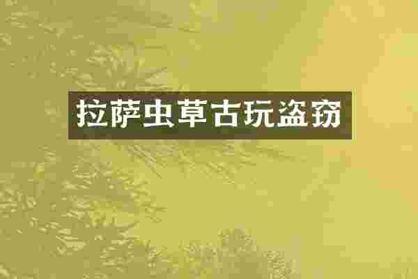 拉萨虫草古玩盗窃