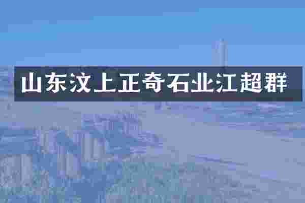 山东汶上正奇石业江超群